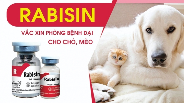 RABISIN - Lá chắn vacxin ngăn ngừa bệnh dại trên động vật