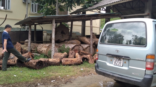 Tuyên Quang: Bắt xe vận chuyển gỗ quý