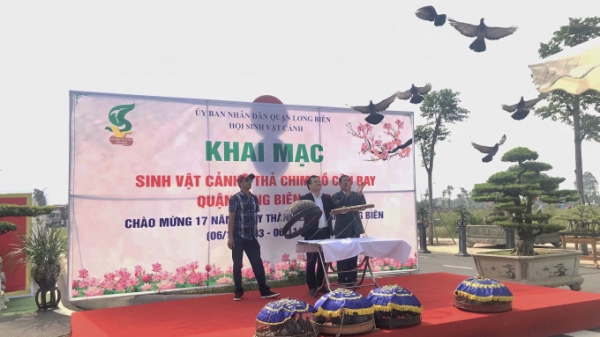 Khai mạc tuần lễ Văn hóa Thương mại Làng nghề quận Long Biên 2020