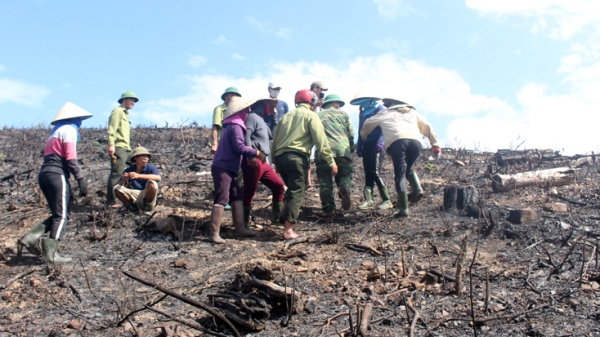 Cần xử lý việc người dân lấn chiếm đất rừng trái phép ở Quảng Bình