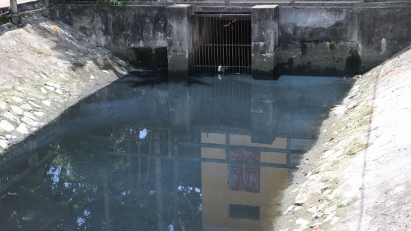 Ô nhiễm nước hệ thống An Kim Hải gia tăng