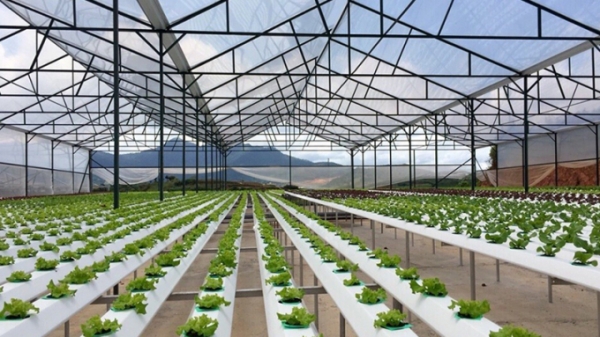 Thái Nguyên thành lập khu nông nghiệp ứng dụng công nghệ cao 154ha