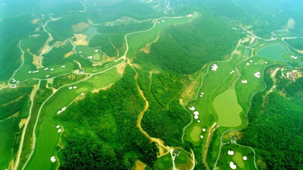 Kết luận về dự án xây dựng sân golf trên đất rừng ở Hòa Bình