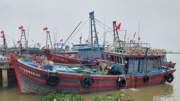 Cảng cá bị bồi lấp, ngư dân Thanh Hóa gặp khó!