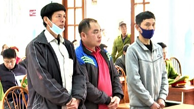 Hà Giang: Khai thác rừng trái phép 3 đối tượng phải lĩnh án tù