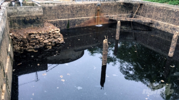 Cá chết trắng trên sông Mã: Phát hiện thêm thủ phạm gây ô nhiễm