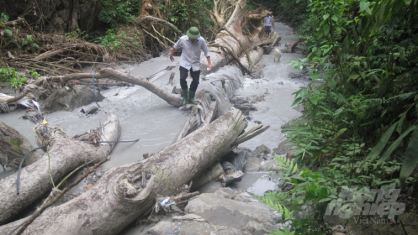 Thái Nguyên: Nguồn cơn dòng suối 'chết'
