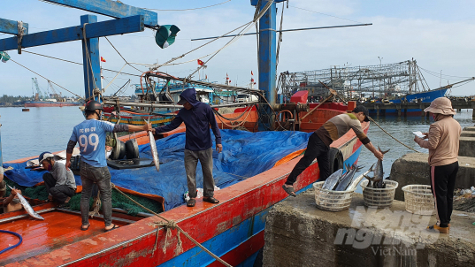 Ngư dân Quảng Trị chưa ra khơi vì biển động