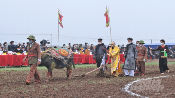 Lễ Tịch điền: Lễ hội xuống đồng đầu năm lớn nhất vùng đồng bằng Bắc bộ
