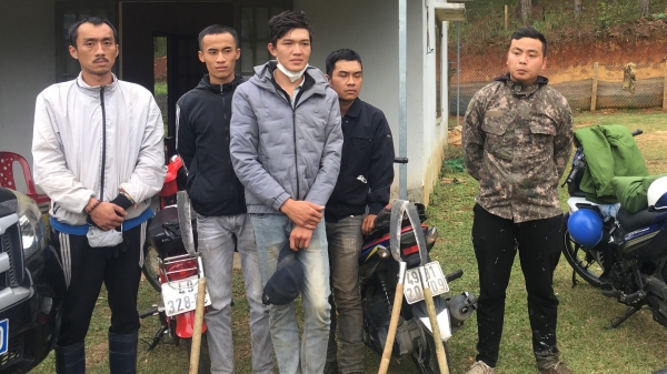 Bắt nhóm người phá rừng lấn chiếm đất ở Đà Lạt