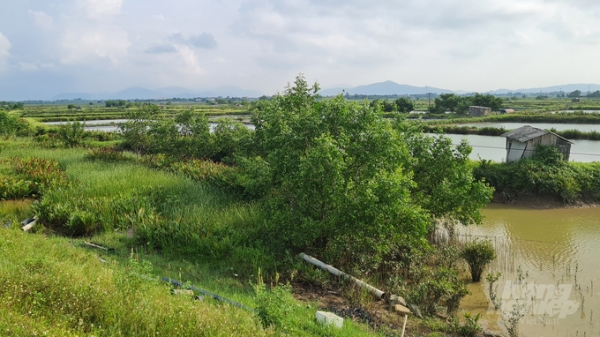 Ecopark rao bán dự án khu đô thị Hưng Hòa, nhà đầu tư cần cẩn trọng