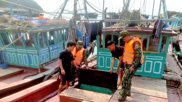 Bắt giữ 6 tàu khai thác thủy sản trái phép khu vực Đảo Trần