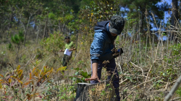 Công ty Thác Rồng ở Lâm Đồng để mất trên 36ha rừng