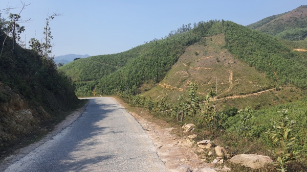 Giao 120ha đất rừng cho Y tế Đức Minh, đổi lại Quảng Ninh được gì?