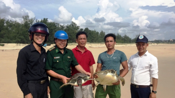 Cứu hộ thành công rùa biển nặng 43 kg mắc lưới ngư dân