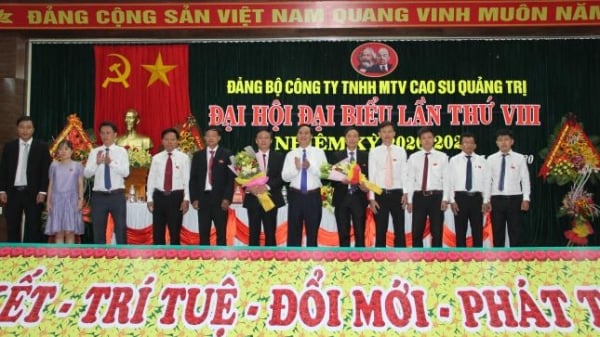 Bí thư Đảng bộ Công ty Cao su Quảng Trị “rớt” Ban chấp hành khóa mới