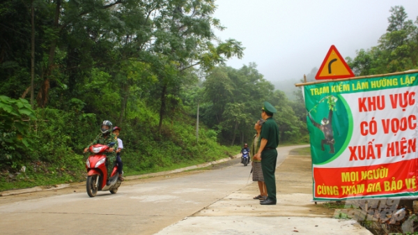 Biên phòng Quảng Trị canh đàn voọc dữ cho học sinh dự lễ khai trường