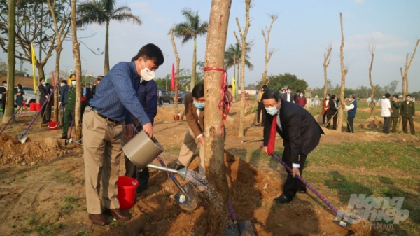Quảng Trị phát động Tết trồng cây bên bờ sông lịch sử Thạch Hãn