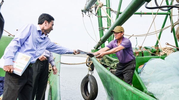 Quảng Trị sẽ xử lý nghiêm tàu cá vi phạm khi khai thác trên biển