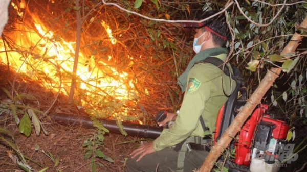 Toàn cảnh 42 giờ khống chế cháy rừng ở Thừa Thiên – Huế