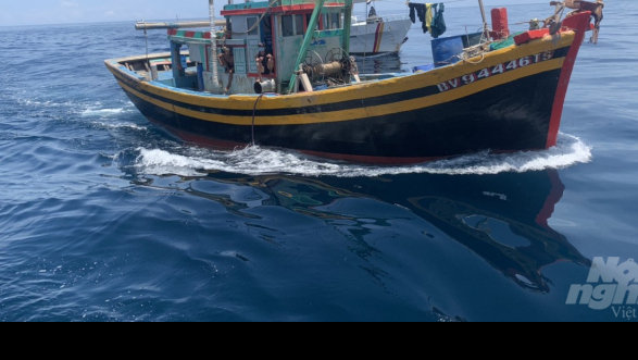 Phát hiện tàu cá hành nghề giã cào trên vùng biển Quảng Trị