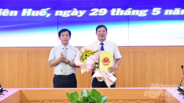 Ông Lê Văn Anh giữ chức Phó Giám đốc Sở NN-PTNT Thừa Thiên - Huế
