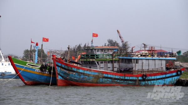 Thừa Thiên Huế: 689 thuyền viên trên biển đã nắm thông tin bão số 1