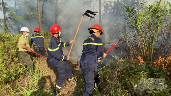Điều tra nguyên nhân gần 6ha rừng quy hoạch đặc dụng bị cháy