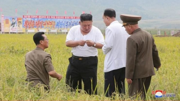 Triều Tiên thiếu gần 1 triệu tấn lương thực, tháng sau sẽ kiệt quệ