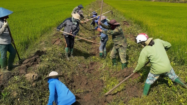 Hạn giữa mùa mưa, hàng trăm ha lúa thiếu nước tưới