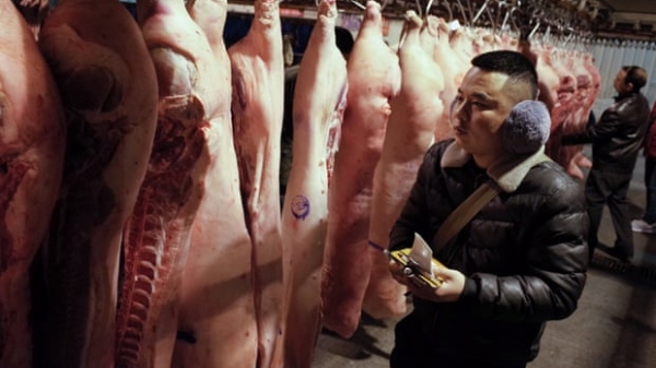 Năm 2022: Sản lượng thịt lợn của Trung Quốc sẽ giảm 14%