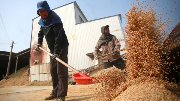 Trung Quốc khẳng định đã tích lương thực 'ở mức an toàn'