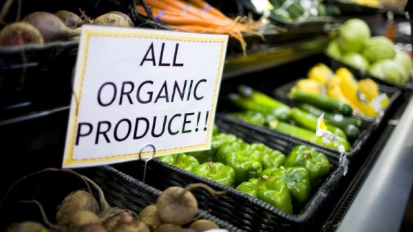 Vì sao ngành thực phẩm hữu cơ ‘mãi ốm yếu’?