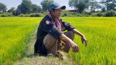 Nông dân hạ nguồn Mekong bất an vì nguồn nước