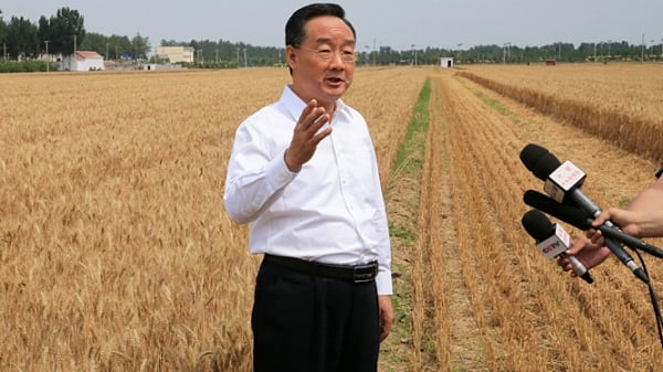 Bộ trưởng Nông nghiệp Trung Quốc nói ‘lúa mì vụ đông có thể rất tệ’