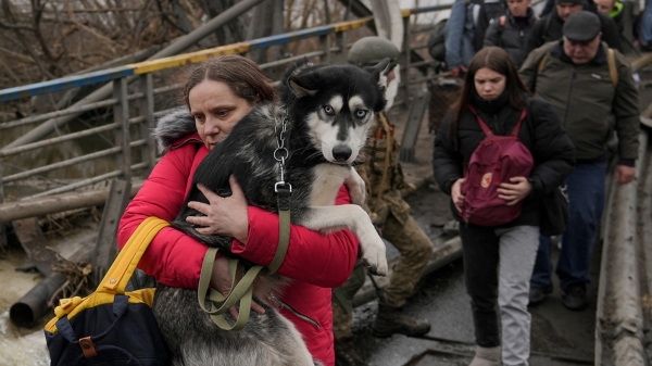 Hình ảnh thú cưng trên đường di tản khỏi Ukraine