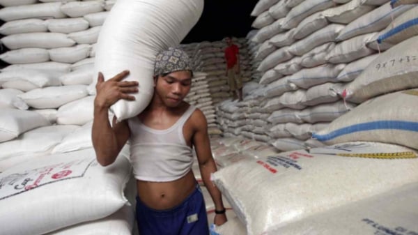 Giá gạo tăng, Thái Lan lo mất cơ hội xuất khẩu