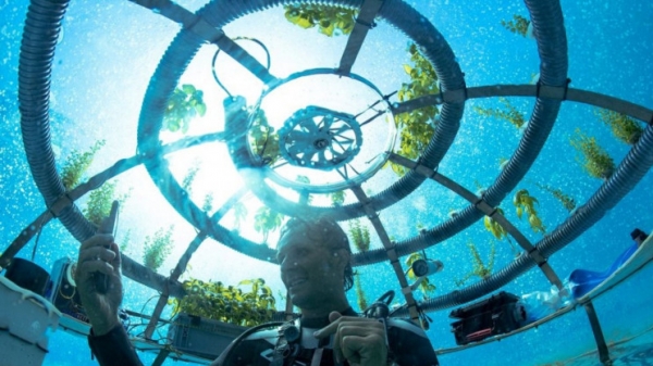 Mô hình nhà kính dưới nước mở ra tương lai của nông nghiệp