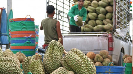 Thái Lan triển khai chính sách kiểm dịch thực vật điện tử trái cây xuất khẩu