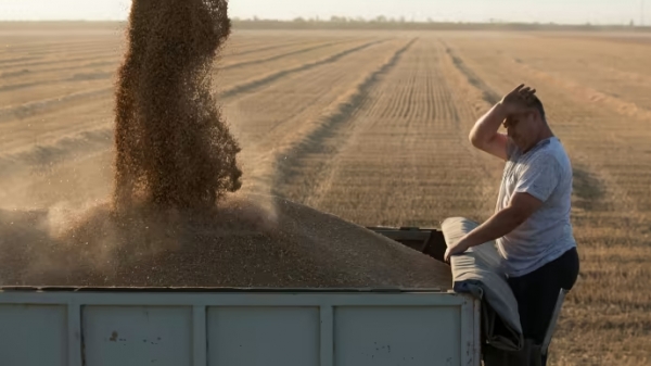 Nguy cơ 100 triệu tấn lúa mì Nga 'chất đống tại nhà'
