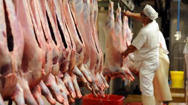 Thị trường thịt lợn cuối năm 'giá tốt nhưng rất nhiều áp lực'