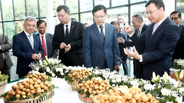 Trái nhãn Campuchia chính thức xuất khẩu sang Trung Quốc