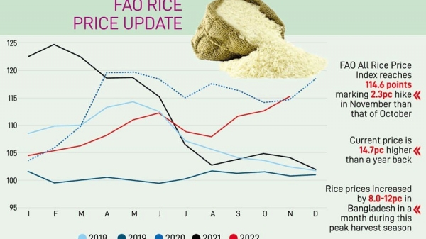 Giá gạo thế giới giữ đà tăng