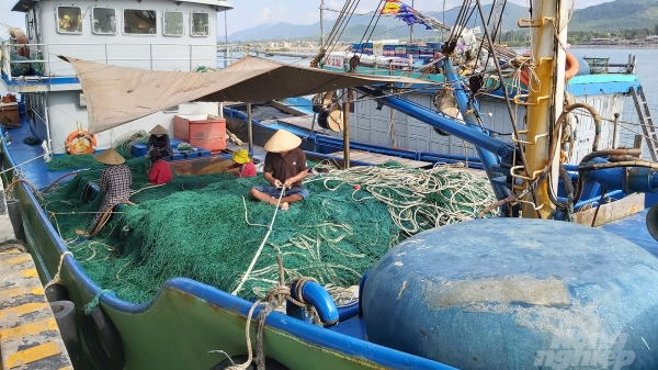 Ngành thủy sản Nghệ An rốt ráo thực hiện các khuyến nghị của EC
