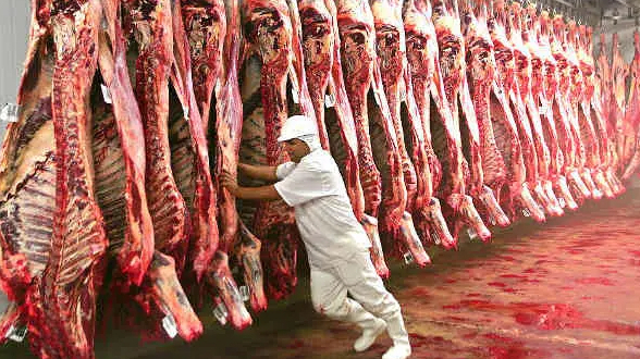 Brazil tạm dừng xuất khẩu thịt bò sang Trung Quốc