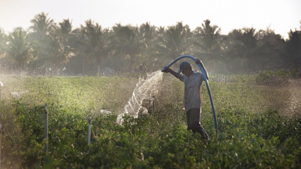 Giải quyết cuộc khủng hoảng nước trong nông nghiệp bằng cách nào?