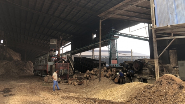 Doanh nghiệp sản xuất viên nén gỗ ‘bất động’ chờ thị trường