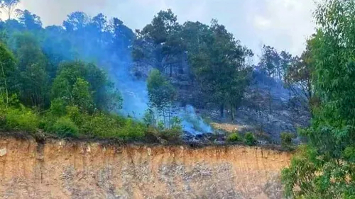 Cháy rừng khiến 2 người tử vong