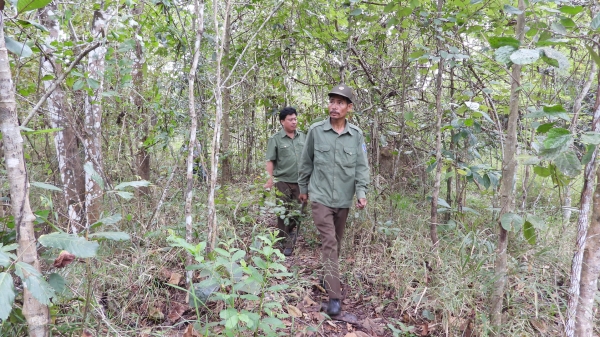 Chi trả dịch vụ môi trường rừng - chính sách nhân văn
