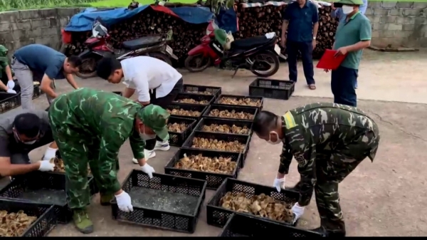 Xác định hai trại gà giống lớn của Trung Quốc được đầu nậu tuồn về Việt Nam
